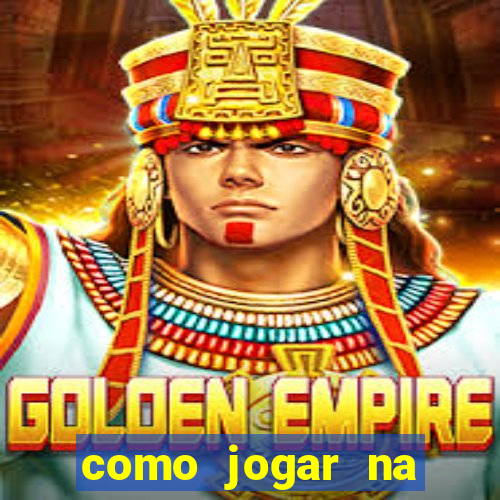 como jogar na lotinha do jogo do bicho